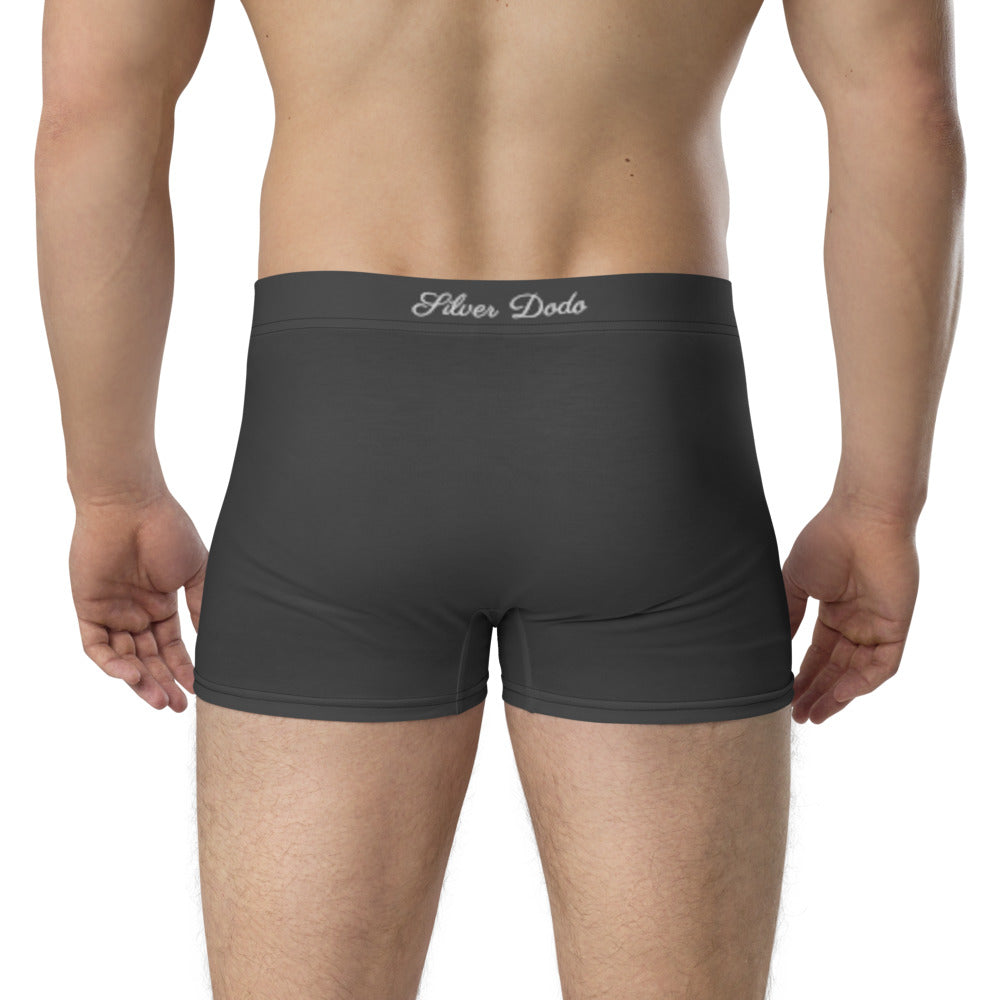 Calzoncillos boxer efecto brillantina eclipse