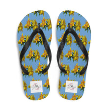 Load image into Gallery viewer, Chanclas Carolina