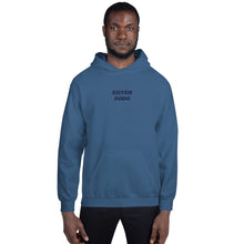 Load image into Gallery viewer, Sudadera con capucha unisex letras azul oscuro
