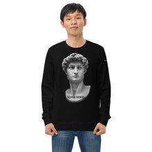 Load image into Gallery viewer, Sudadera orgánica unisex David
